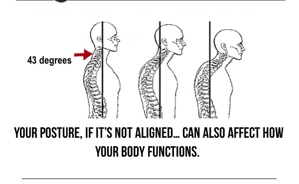 Your posture, if it's not aligned… can also affect how your body functions. - Tampa Chiropractic